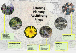 allemann flyer
