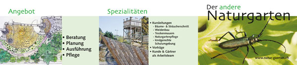 allemann