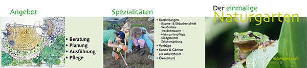 allemann